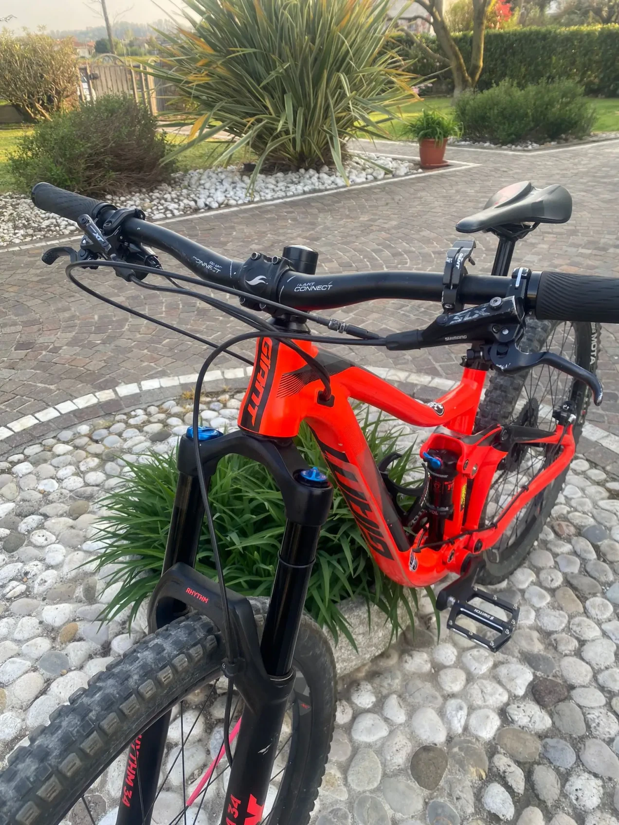 faux patent leather biker shorts