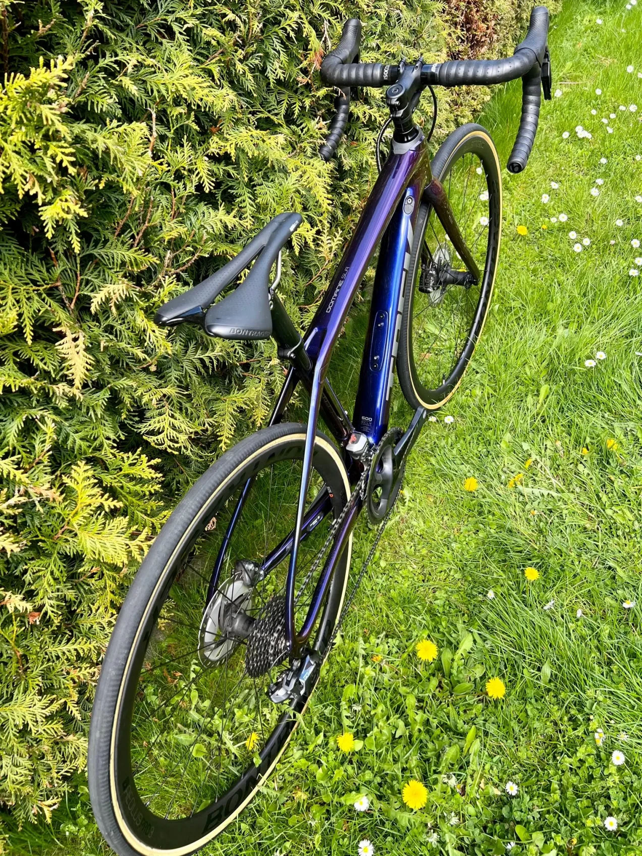 trek domane slr 7 2019