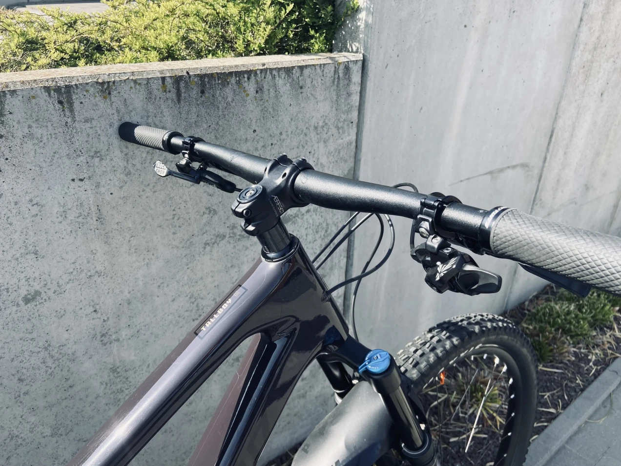 santa cruz tallboy carbon 29er