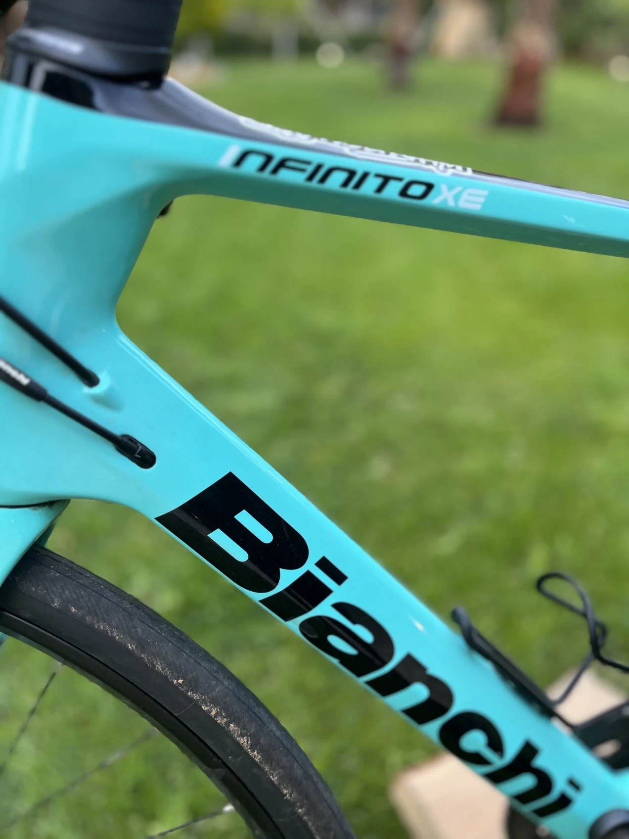 bianchi infinito xe ultegra