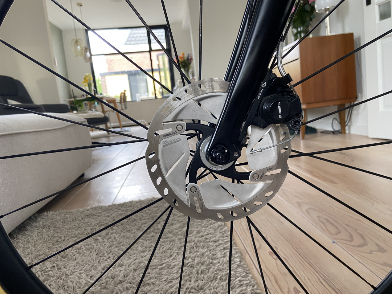 speedster 20 disc 2018