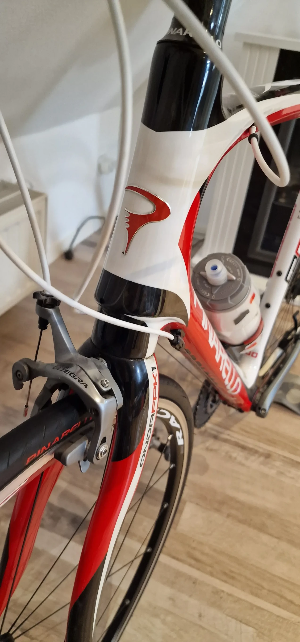 fp quattro pinarello