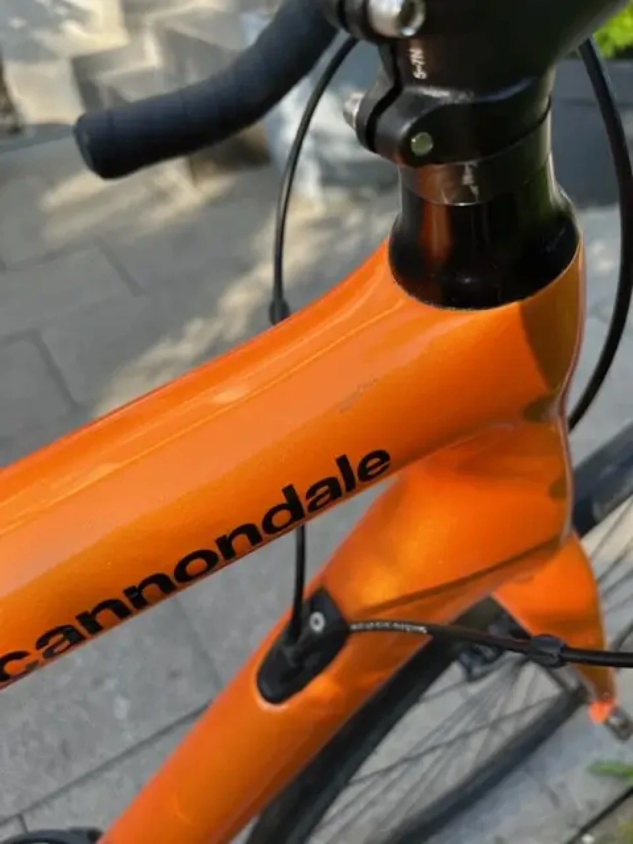 cannondale synapse ultegra disc 2020