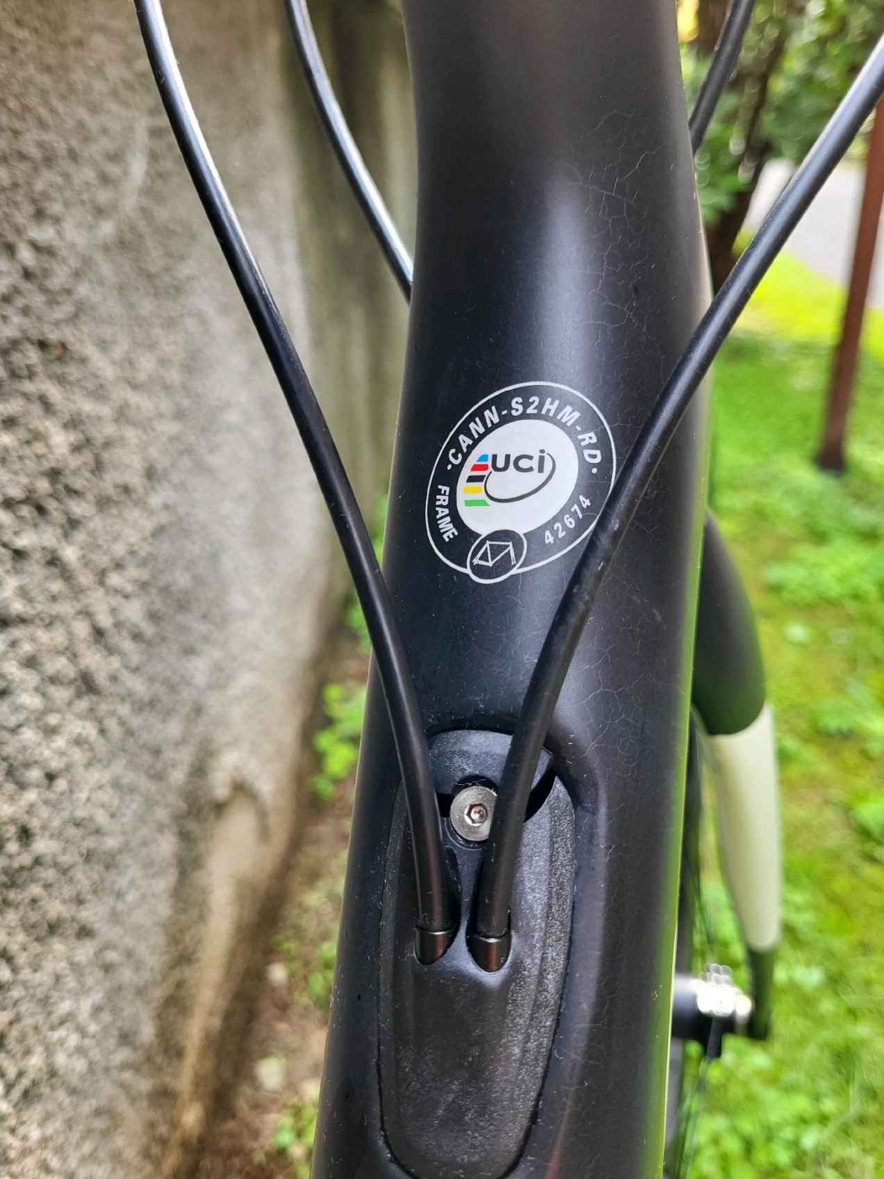 cannondale synapse ultegra 2019