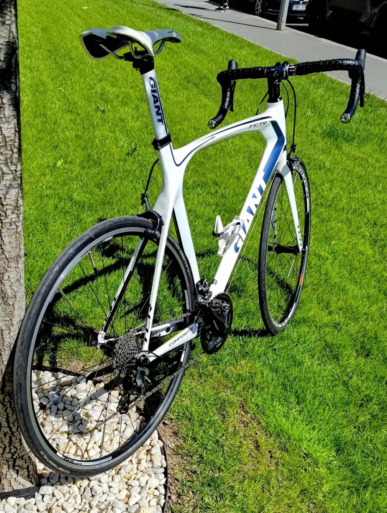 giant tcr composite 1