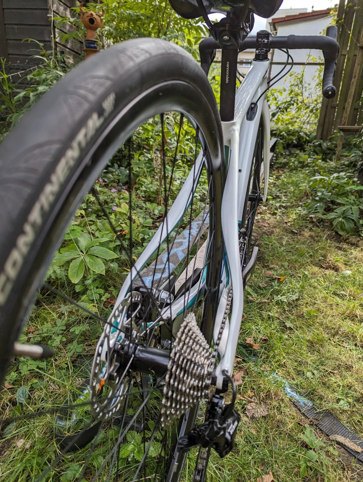 synapse carbon women's 105