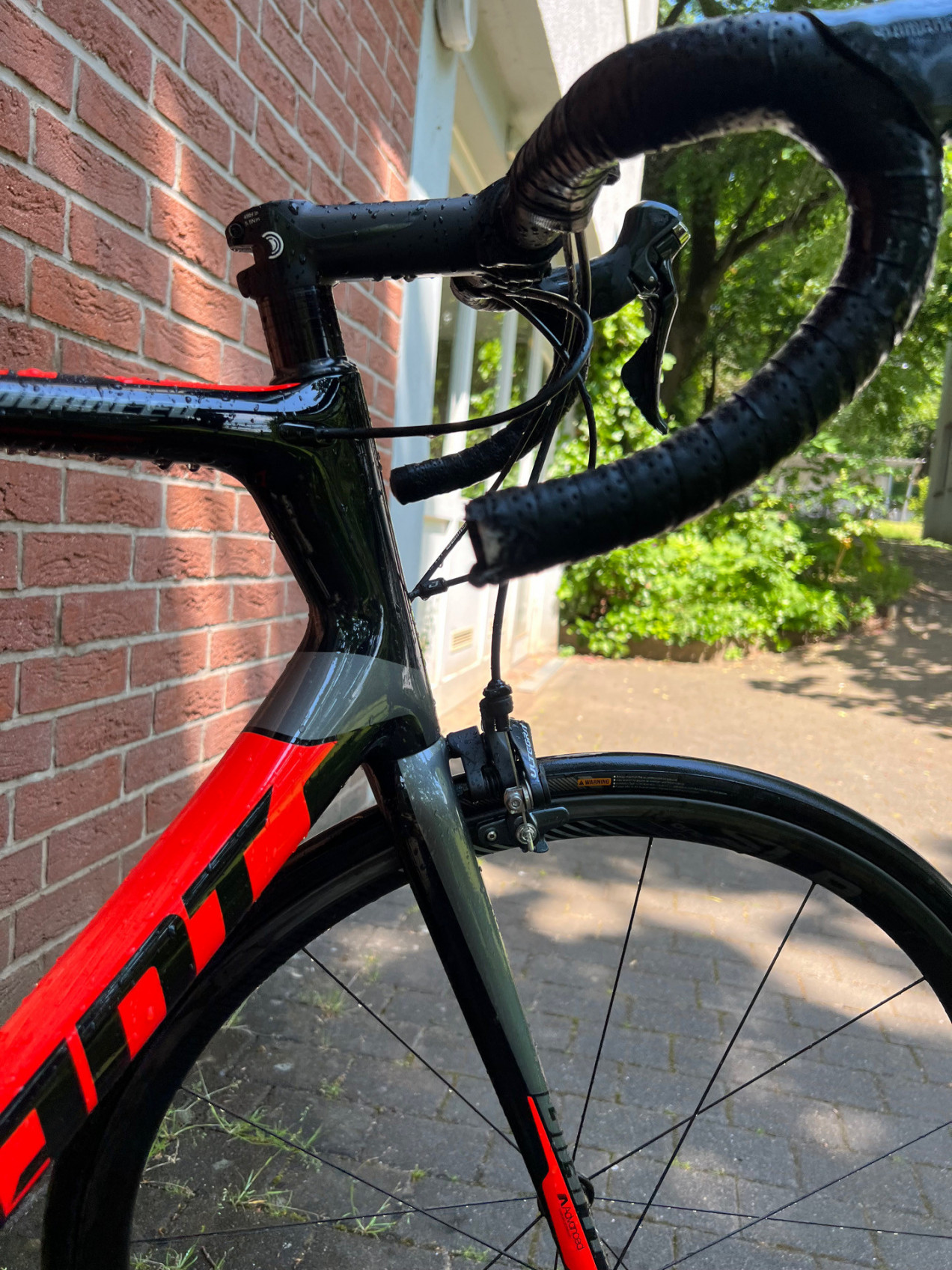 giant tcr pro 1 2019