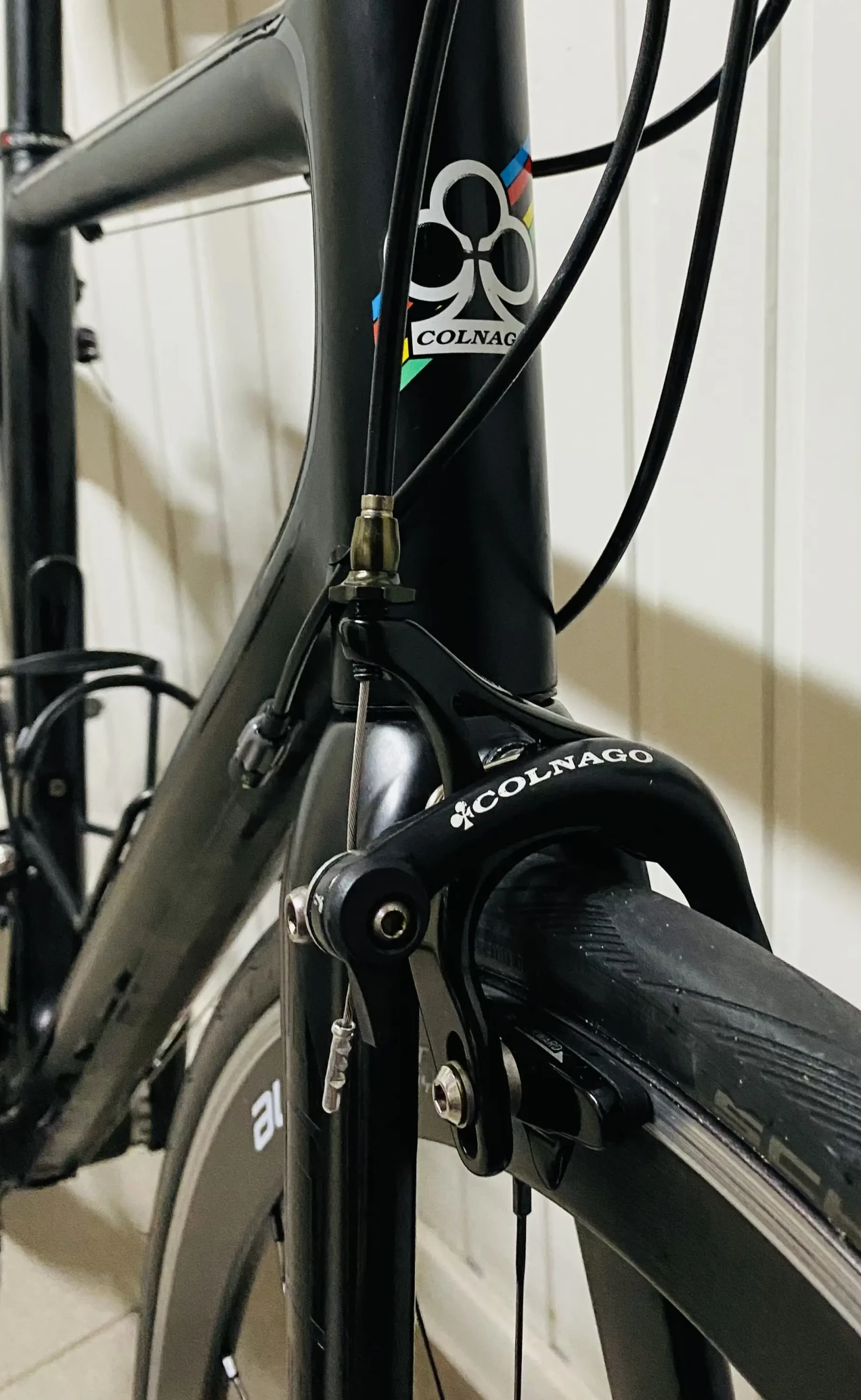 Colnago Ace Carbon used in m | buycycle