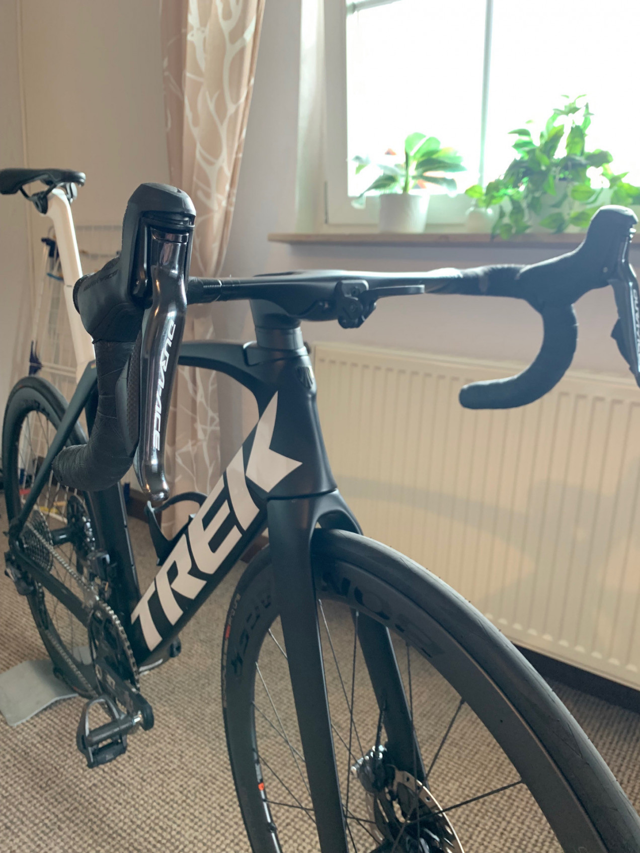 trek madone slr 6 disc