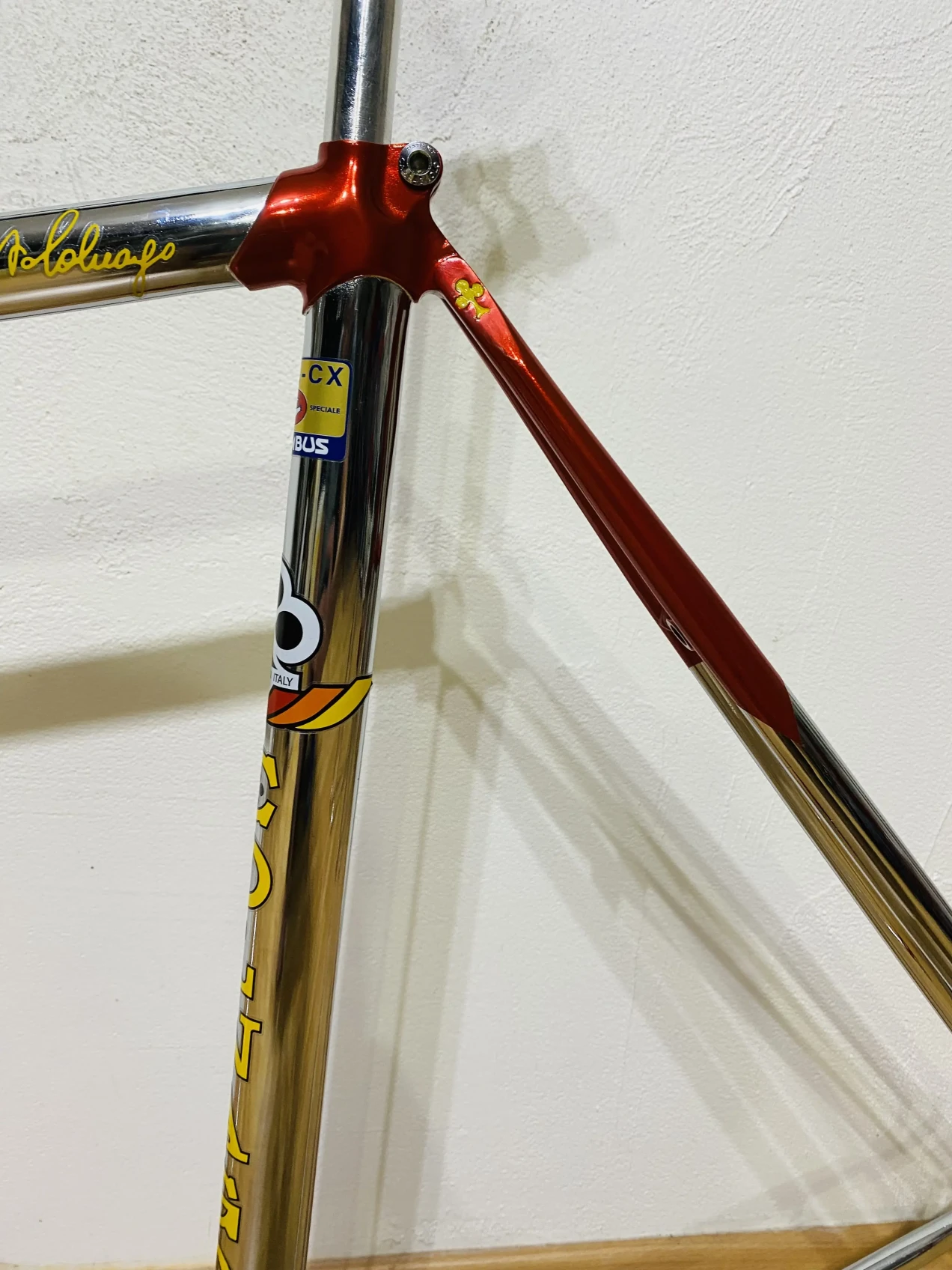 colnago oval cx