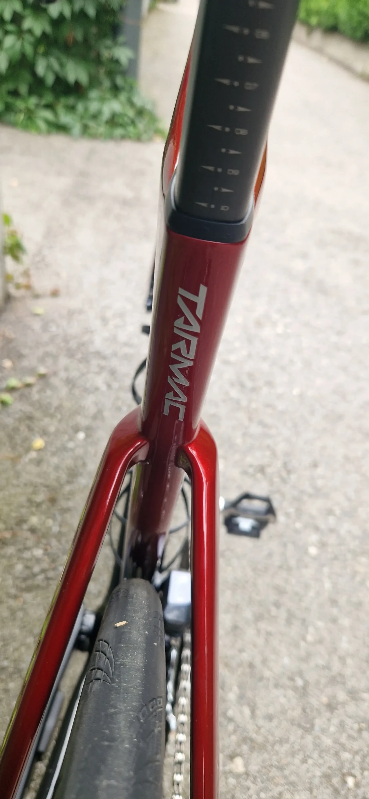 tarmac expert ultegra di2