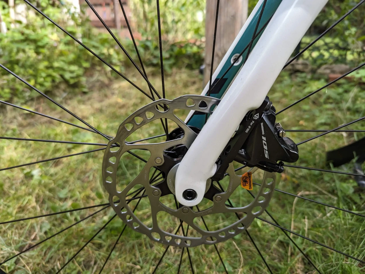 synapse carbon women's 105