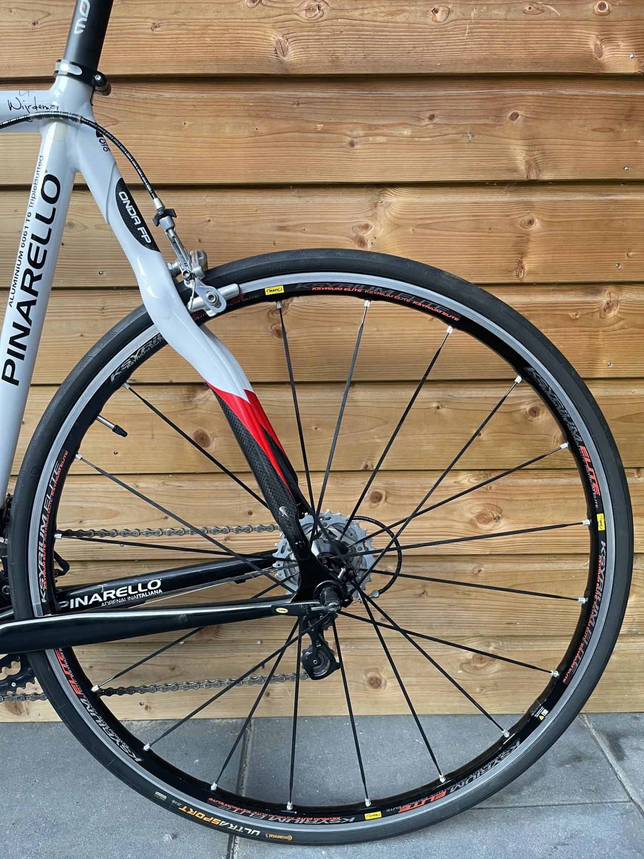 pinarello 12