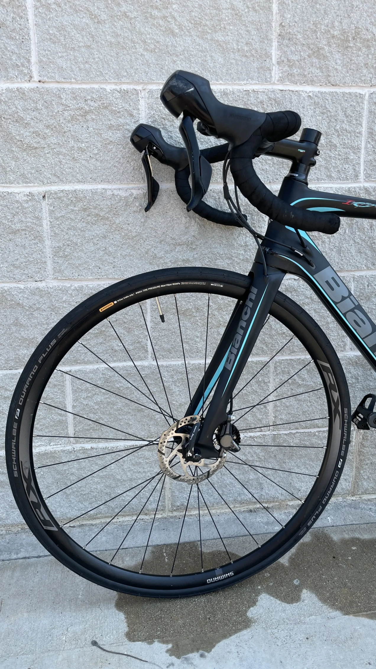 bianchi infinito cv ultegra disc