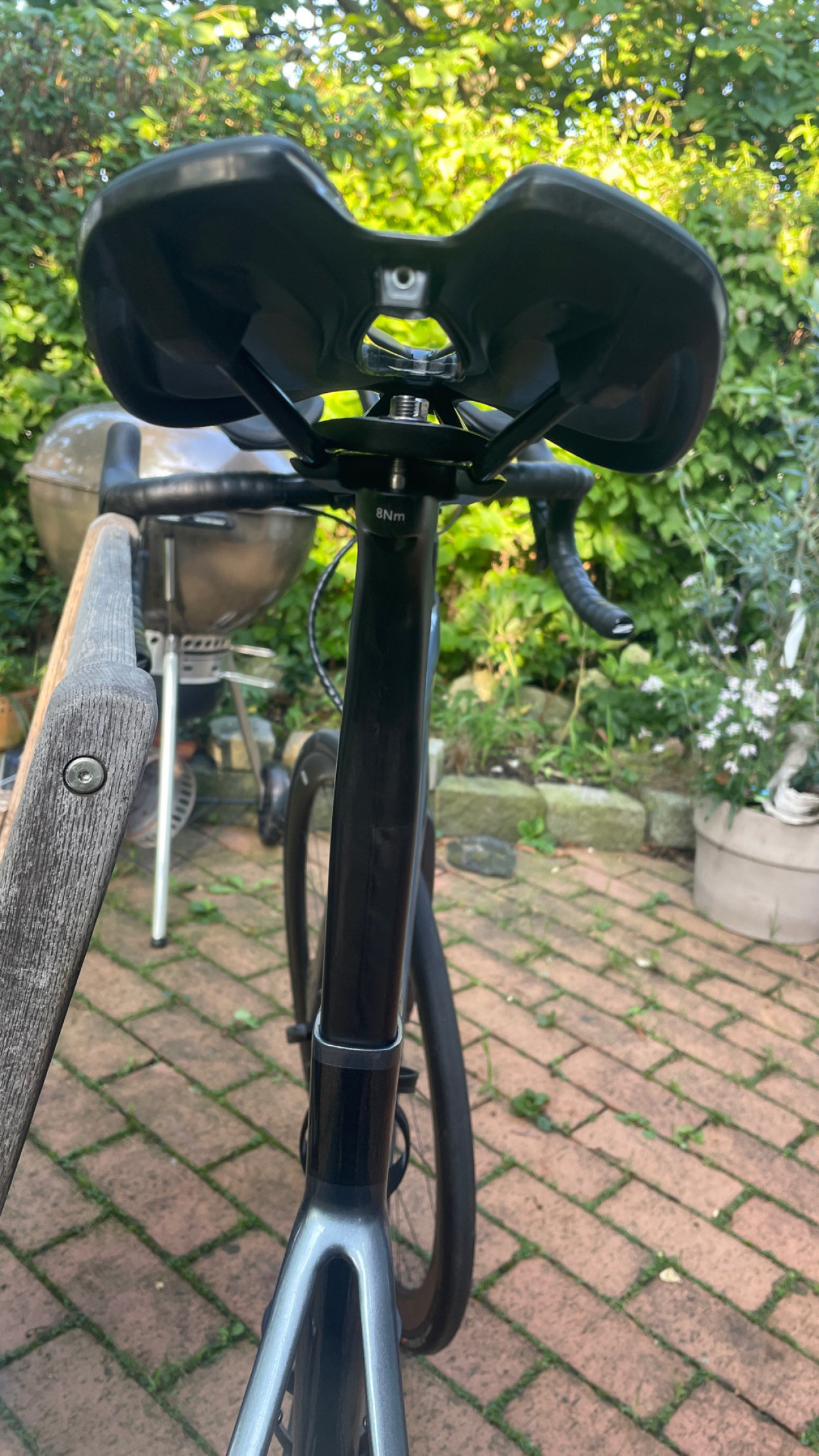 giant defy stem