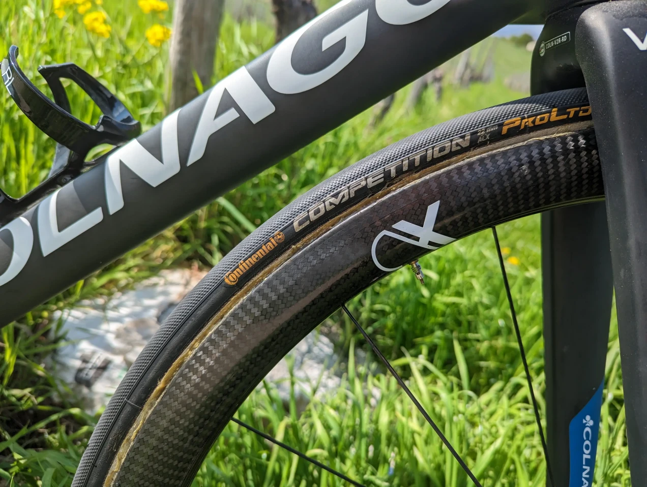 colnago 2020