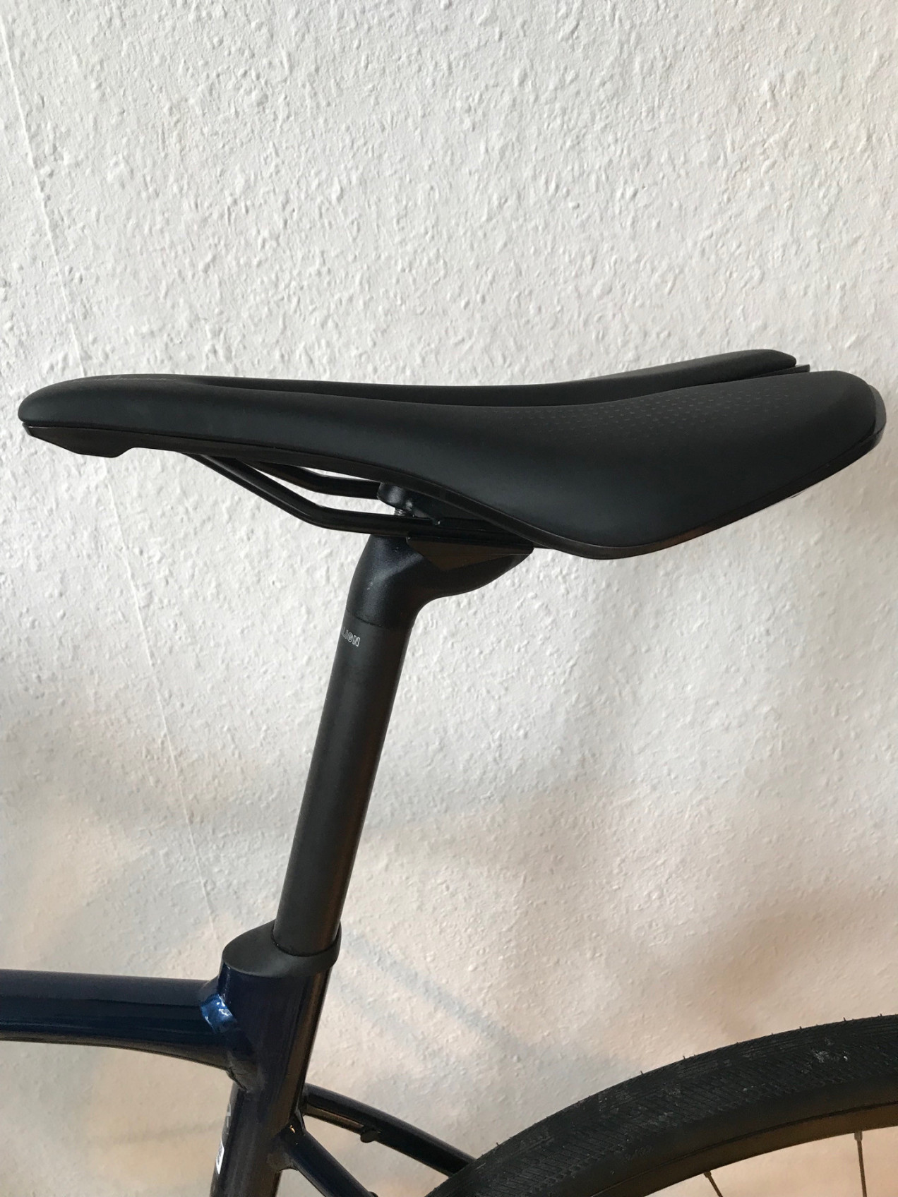 giant contend ar 1 2021 test