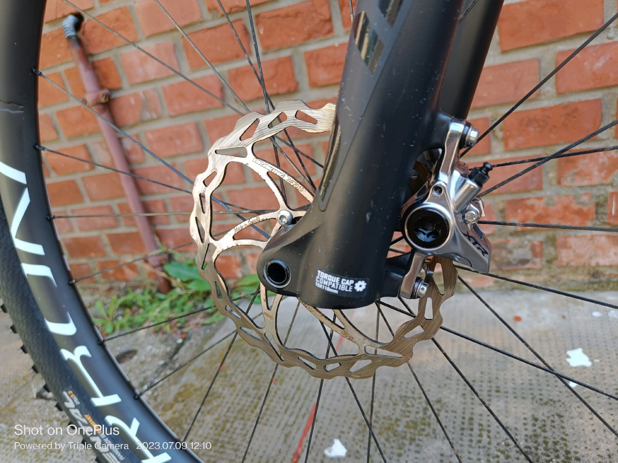 specialized epic hardtail pro 2019