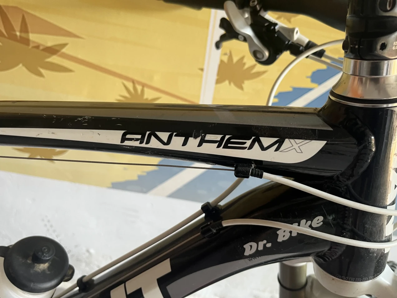 Giant Anthem X Advanced 29er 1 Used In Xl Buycycle