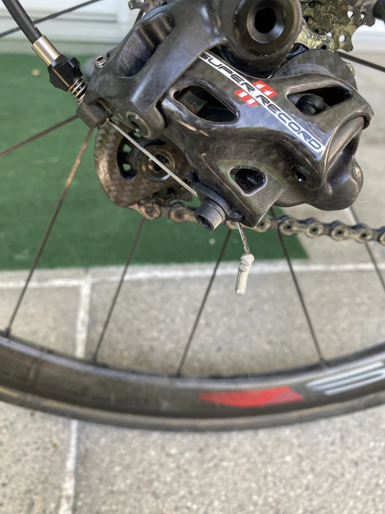 bianchi infinito cv campagnolo