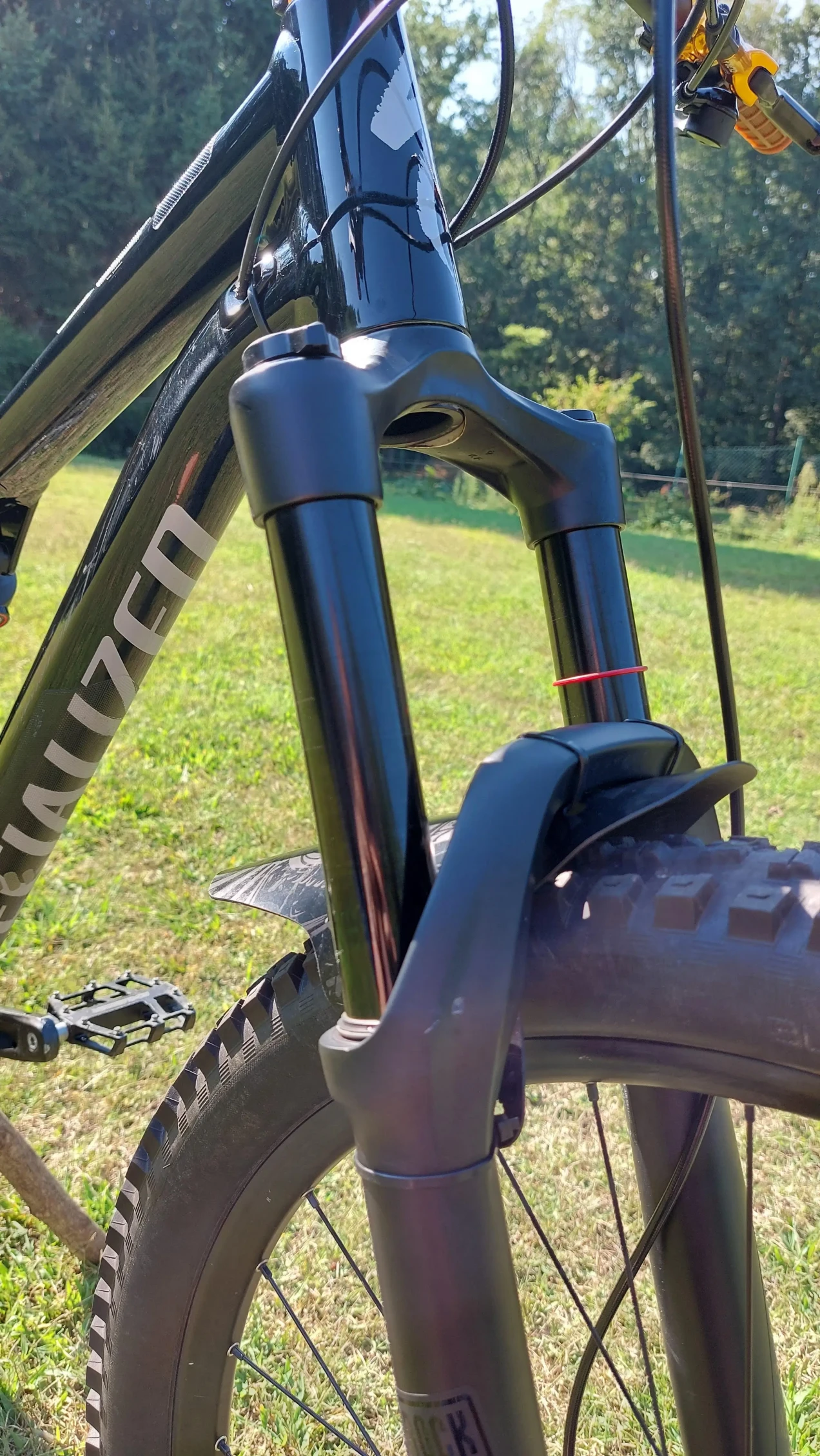 2020 specialized stumpjumper 29 review