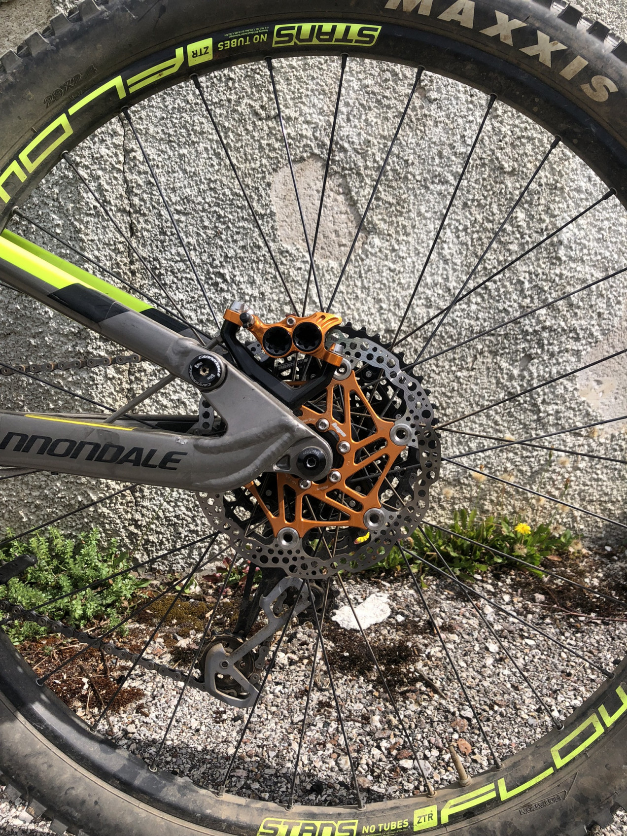Cannondale - Jekyll 29 -3 2019, 2019