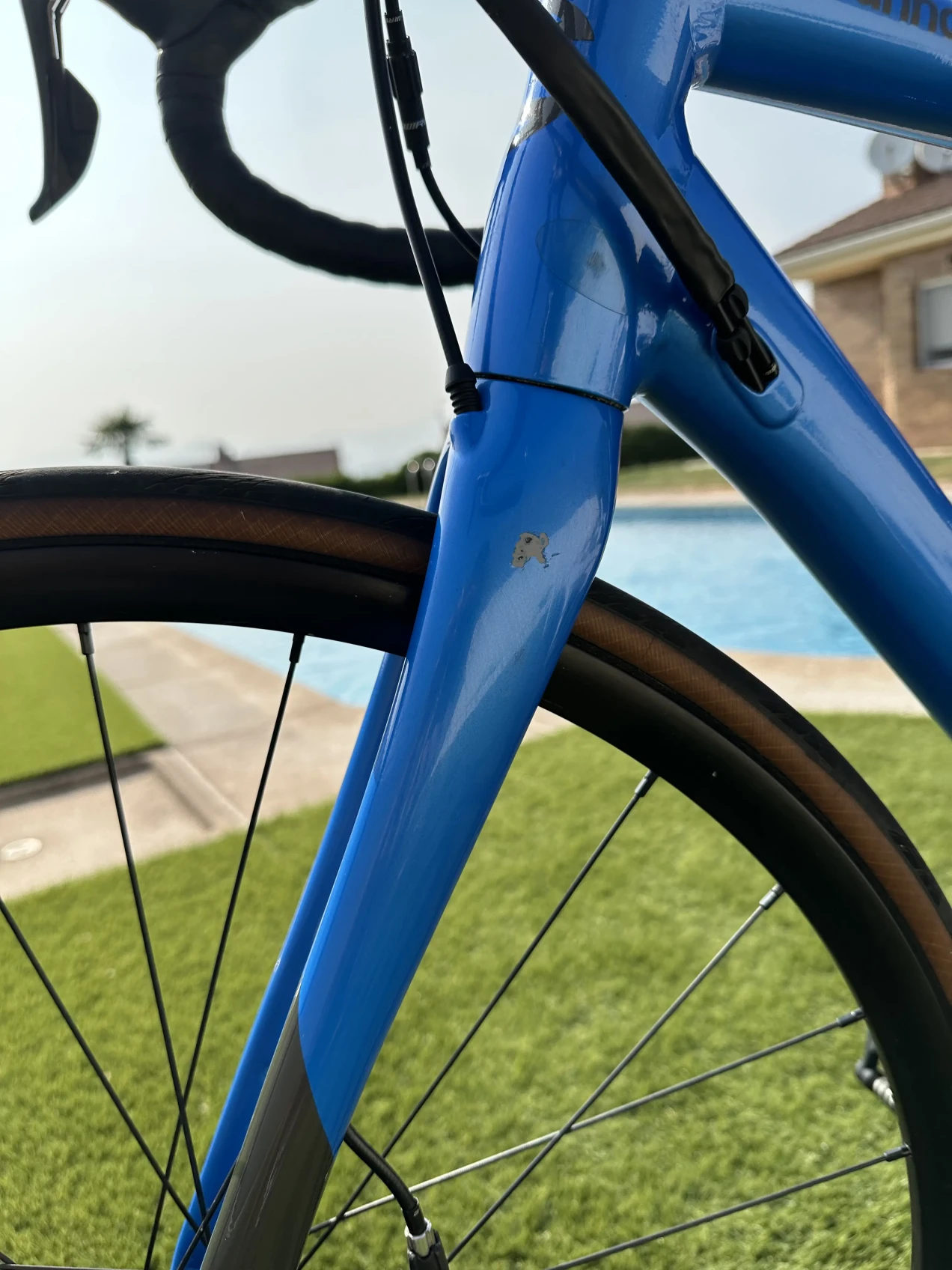 cannondale synapse disc tiagra 2019