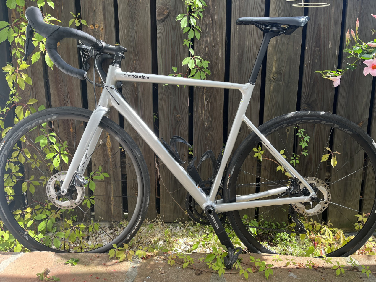 cannondale caad13 disc ultegra 2021