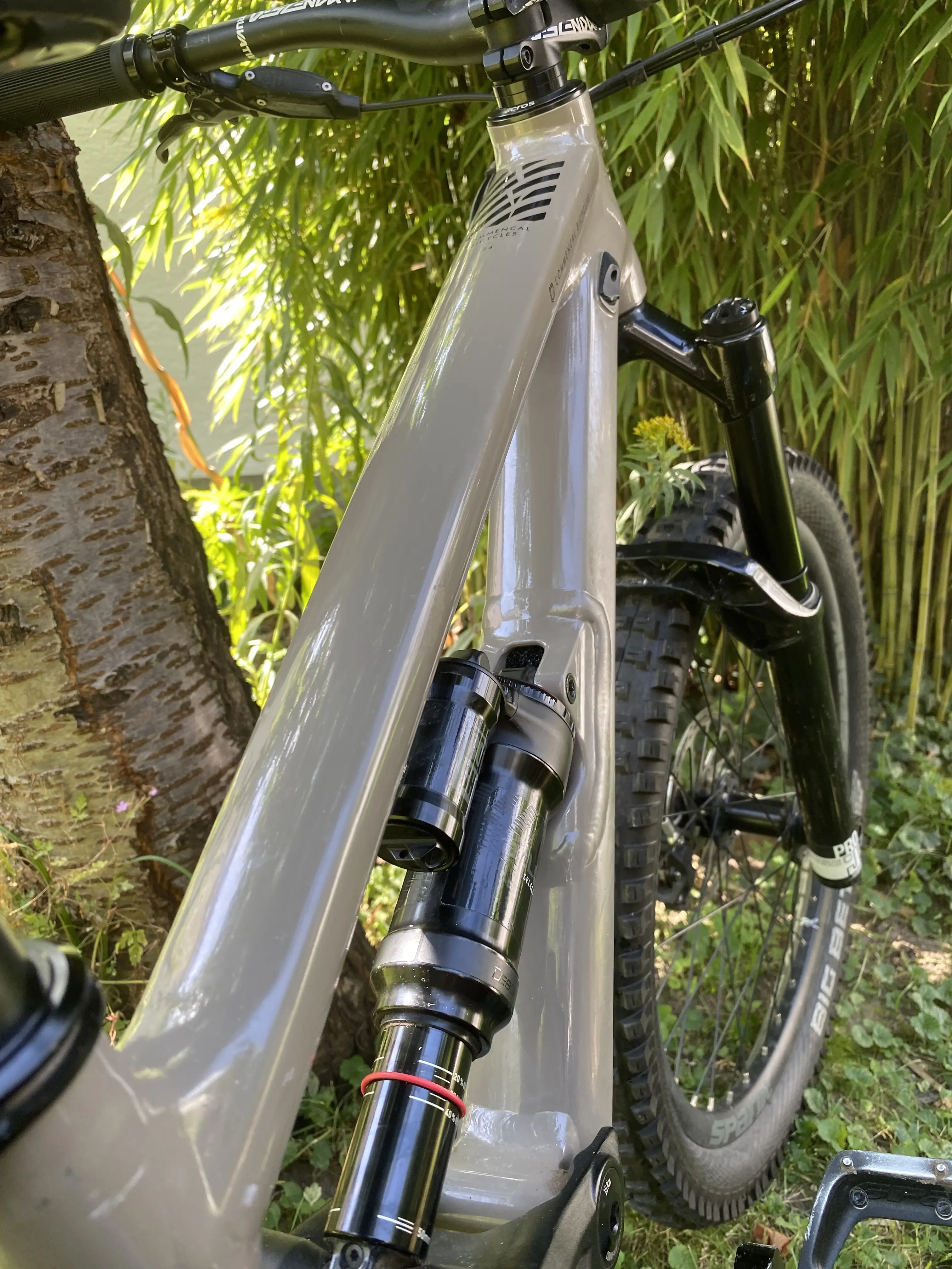 commencal clash 24 for sale