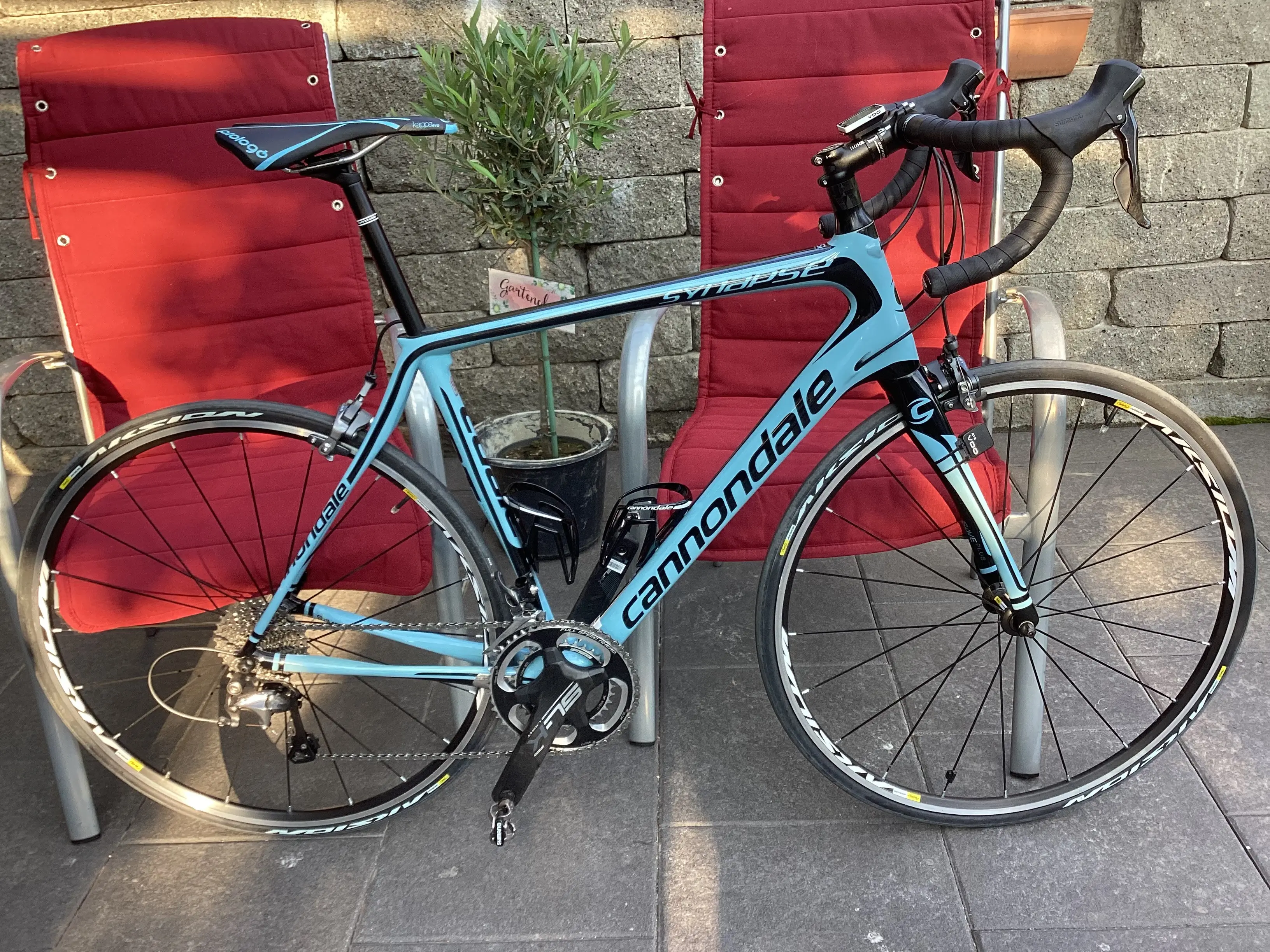 synapse carbon women's 105