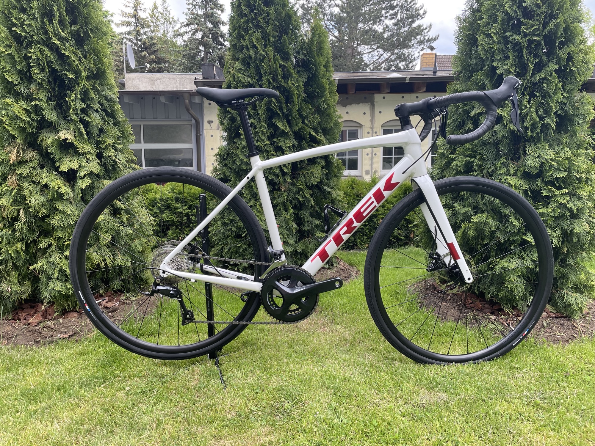 Trek Domane AL 3 Disc used in 54 cm | buycycle