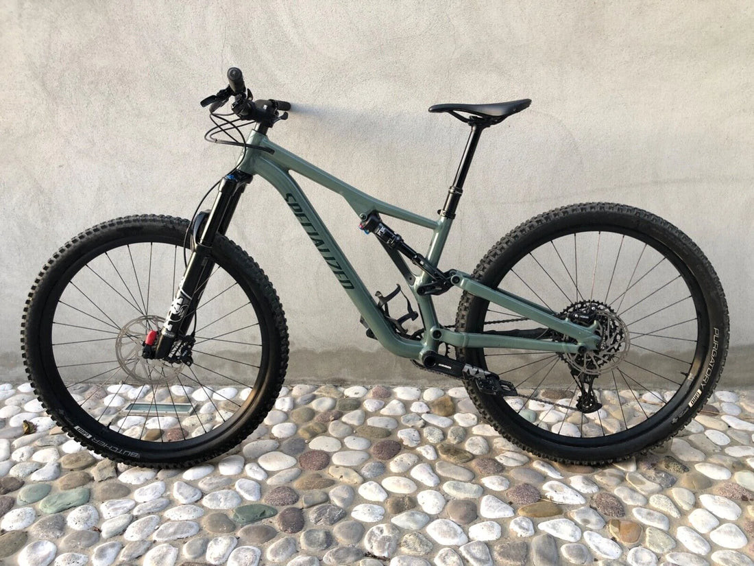 stumpjumper comp alloy 29 12 speed