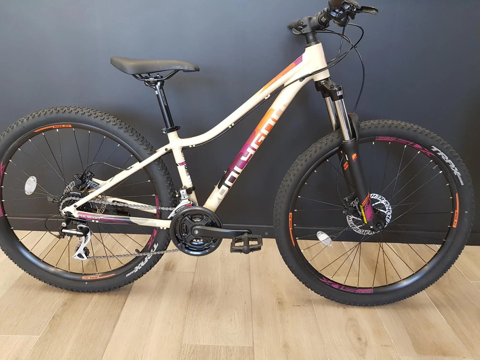 polygon cleo 2.0 2019