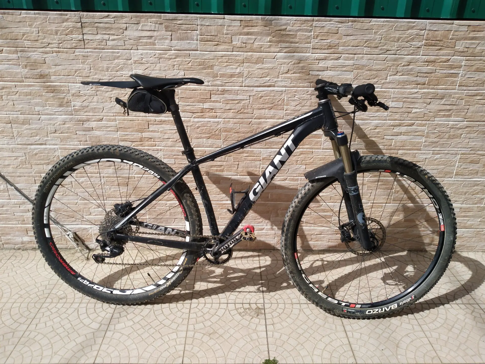 giant 29er