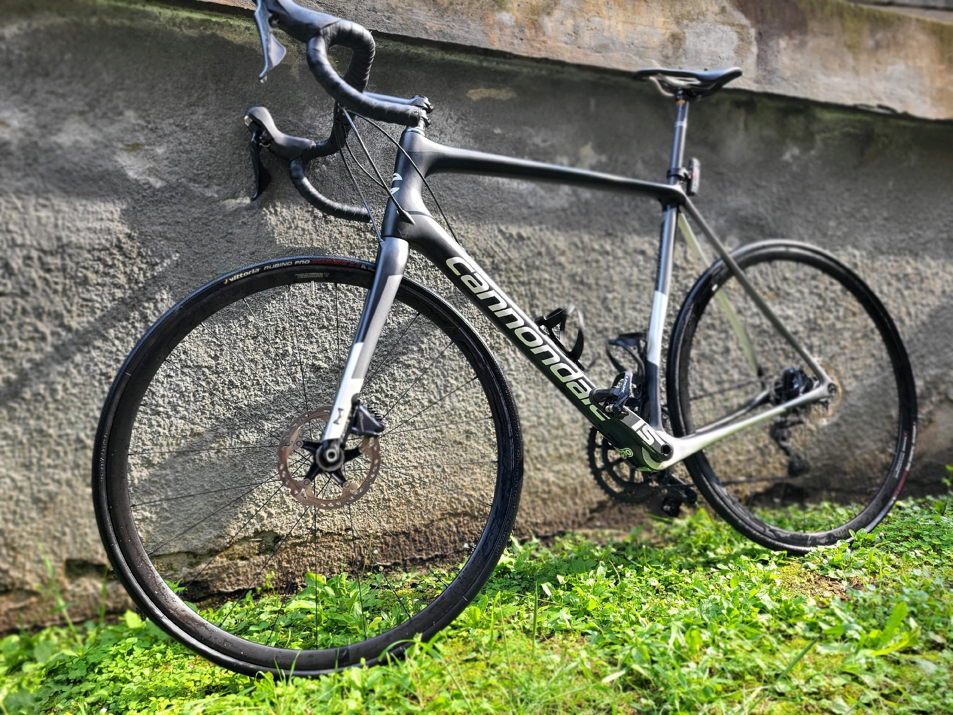 synapse carbon disc ultegra