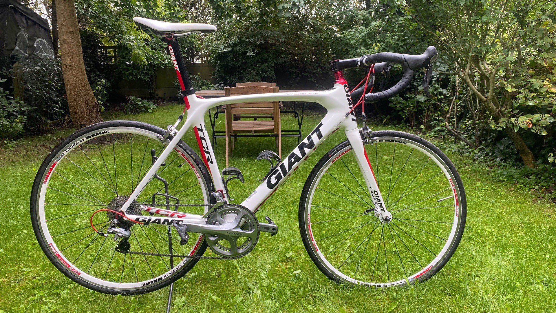 giant tcr composite 1