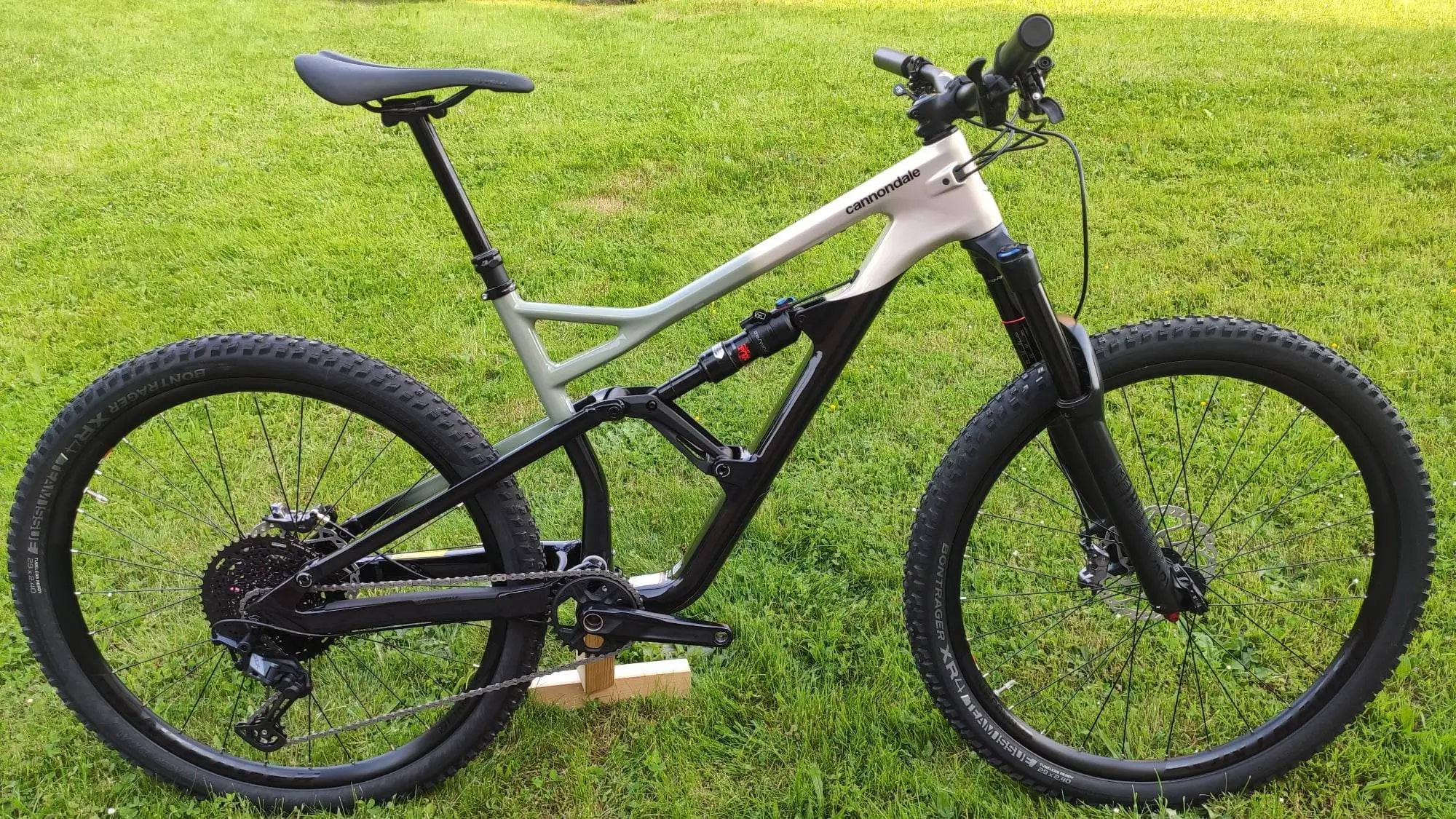 cannondale jekyll 29 2