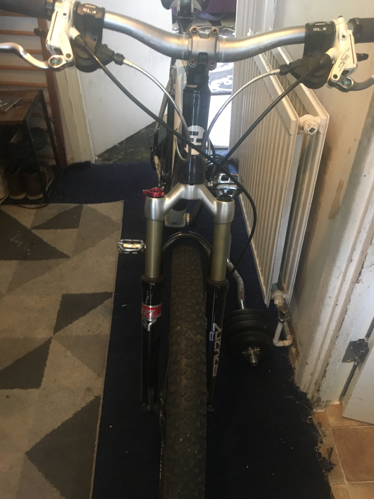 focus raven 9.9 2019