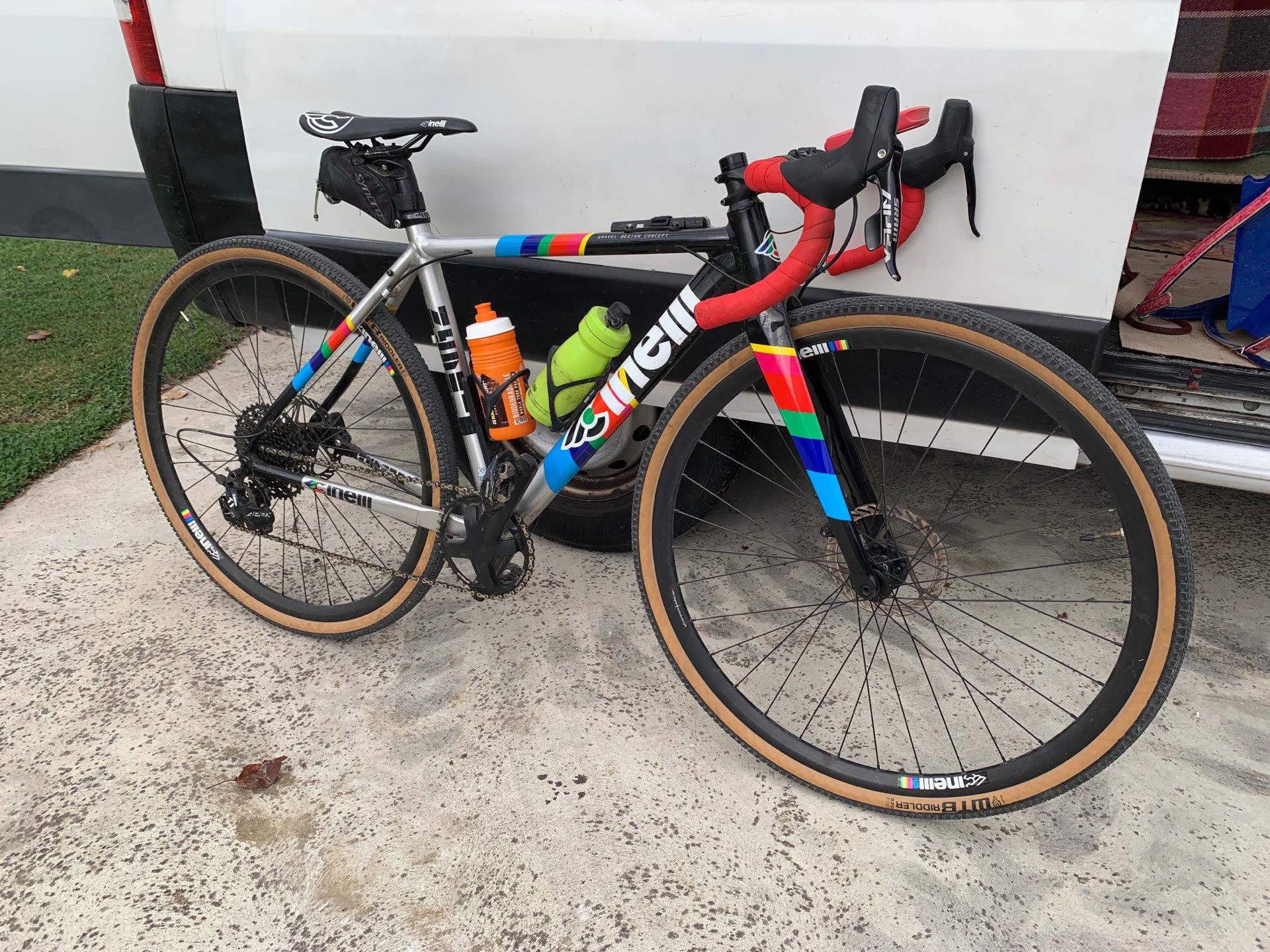 cinelli 2019