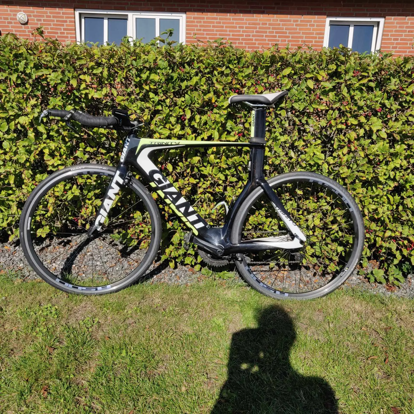 giant trinity composite 1