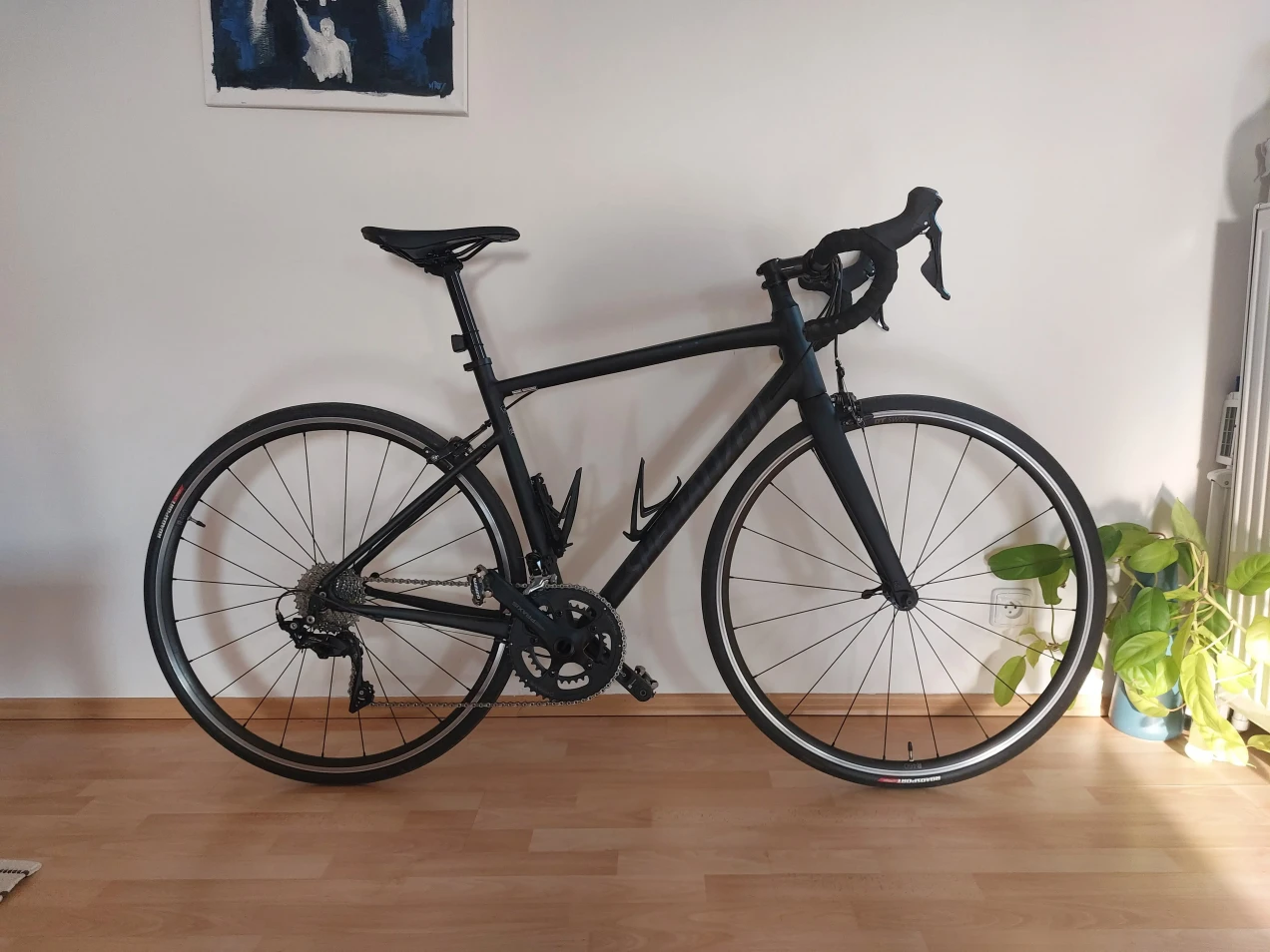 2021 allez elite