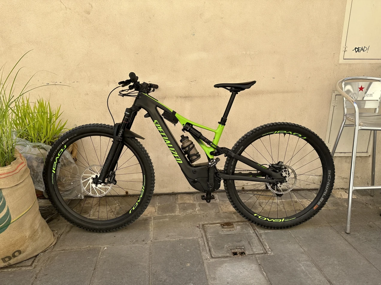 2019 levo expert