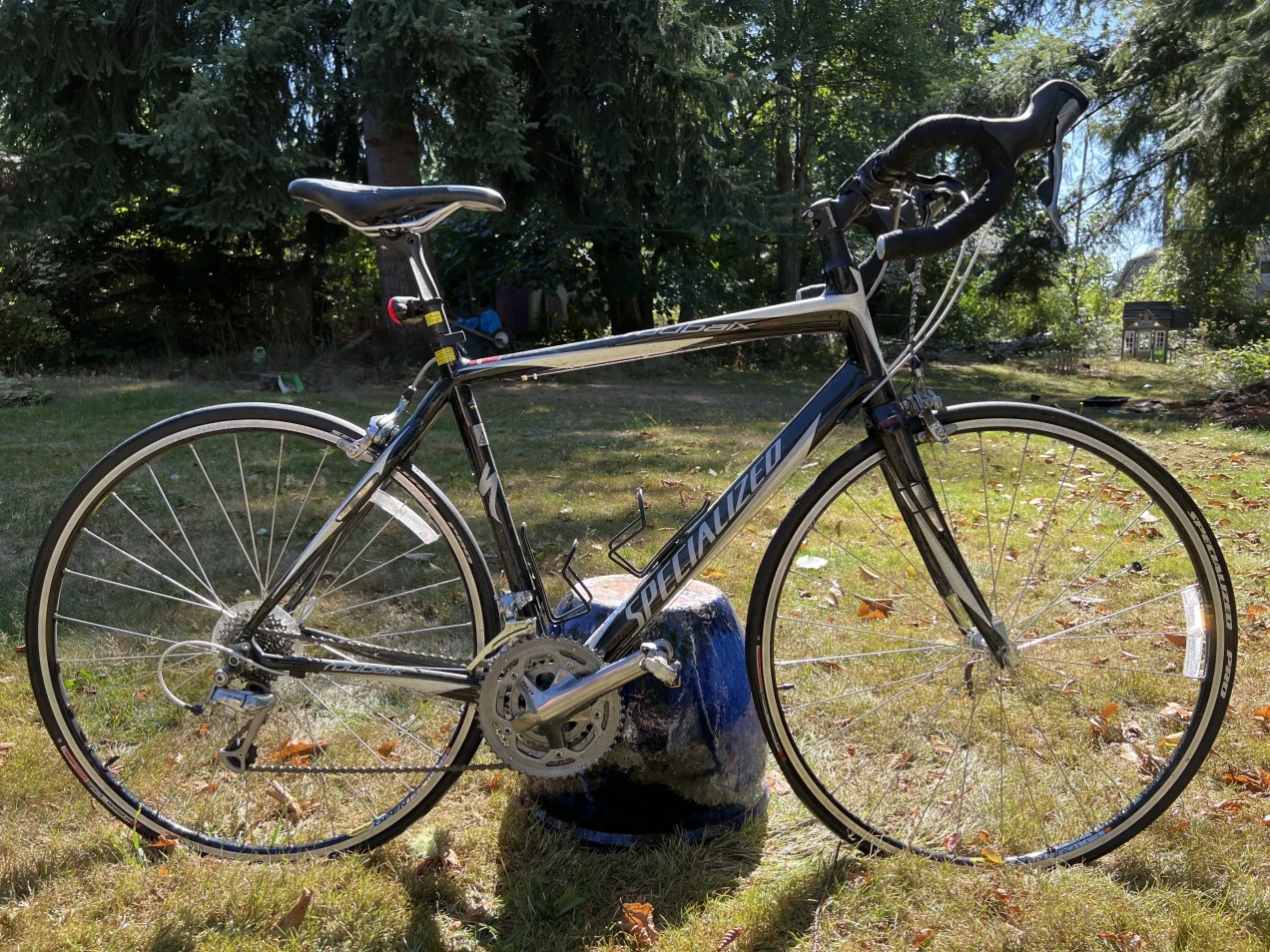 2011 specialized roubaix expert