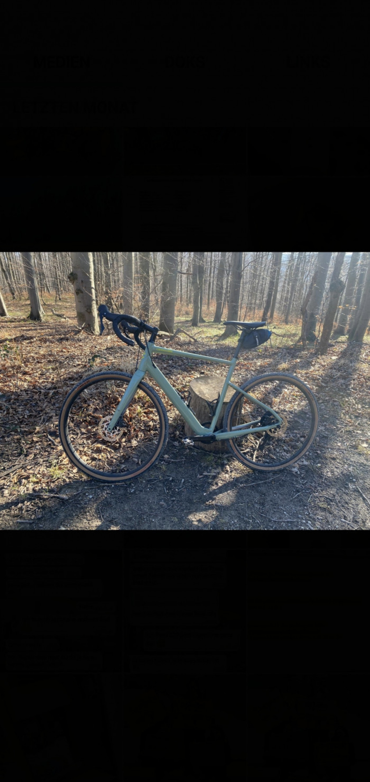 Cannondale Topstone Neo SL 1 usato in l | buycycle