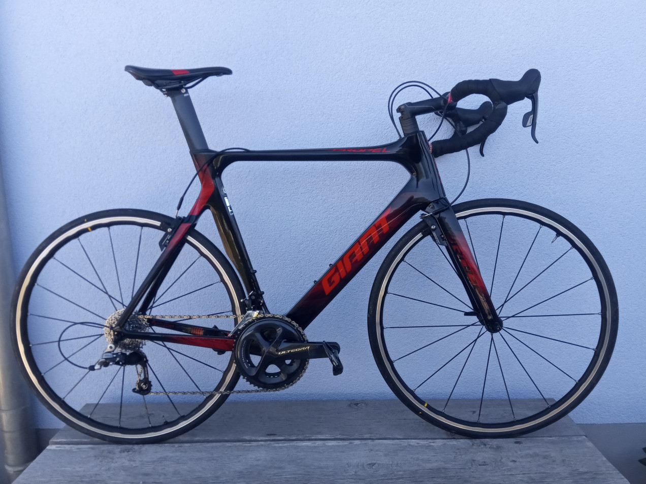 giant propel 0 2019