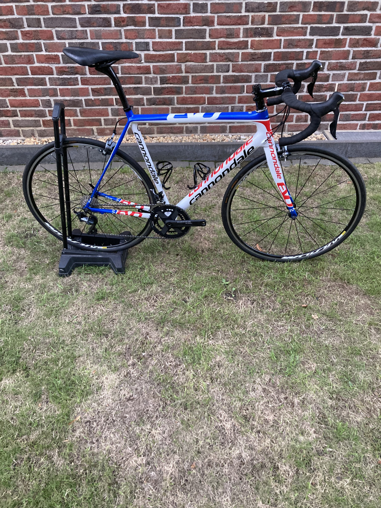 cannondale 56cm