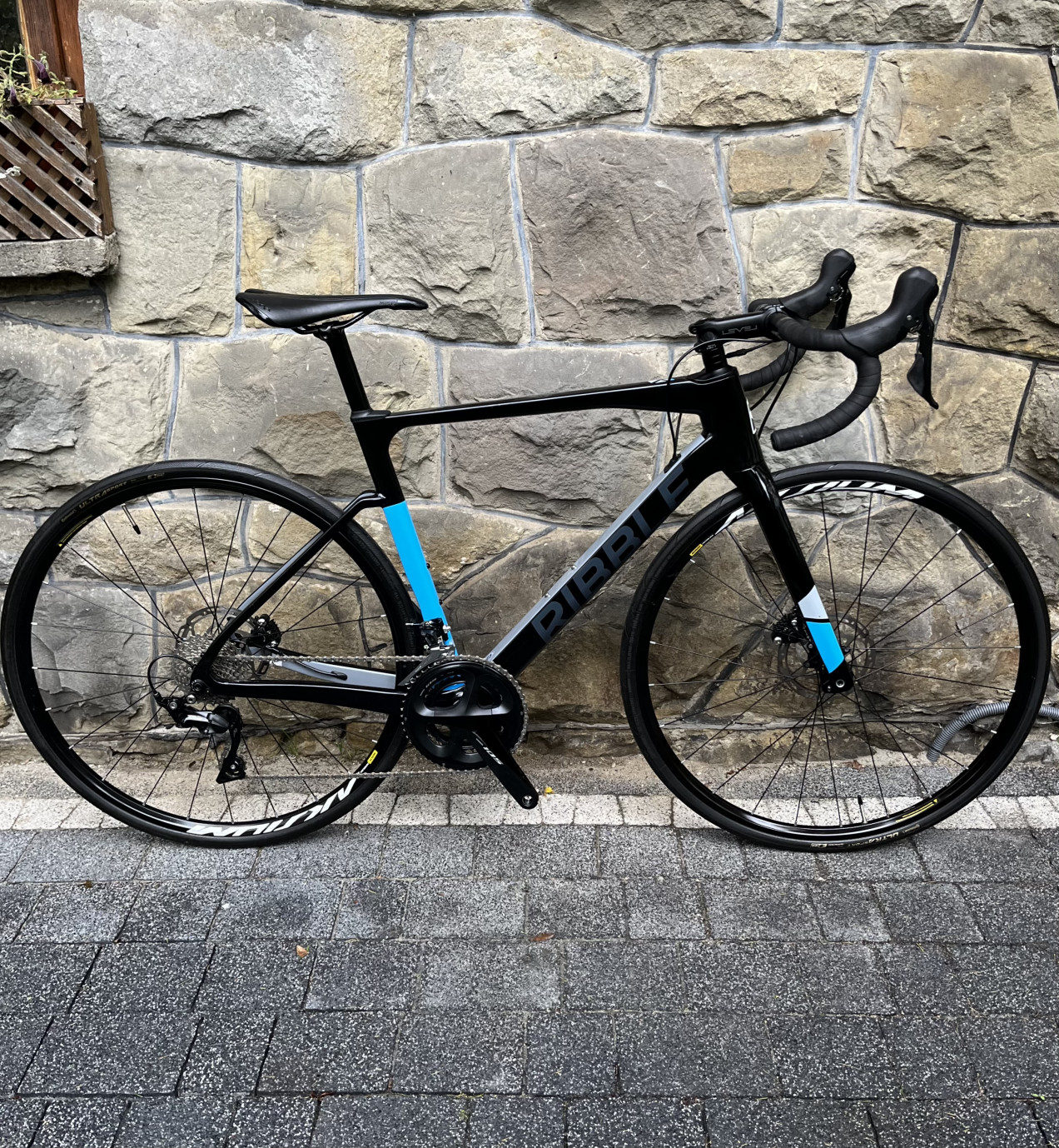 ribble endurance al disc 105