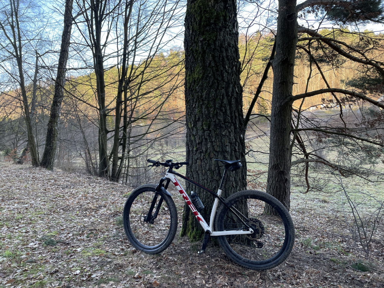 trek procaliber 9.8 2022