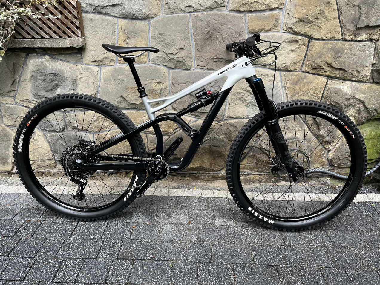 Cannondale - Jekyll Carbon 29 2, 2020