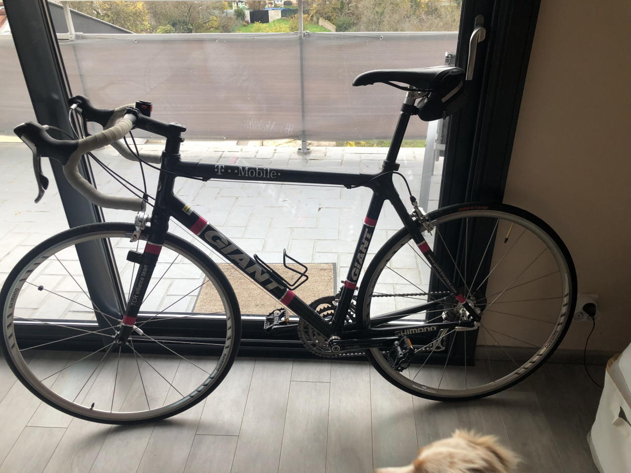 Giant TCR SL 2 used in l | buycycle